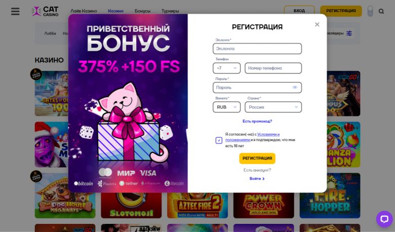 Кэт Казино - регистрация нового игрока
